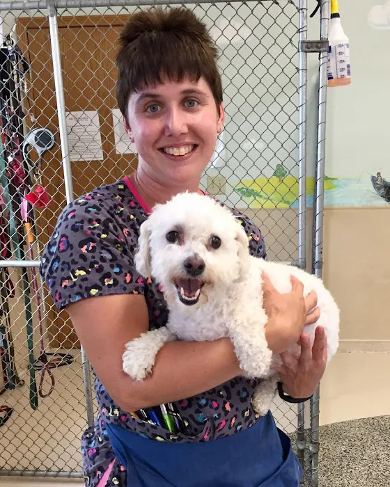 All Creatures Veterinary Clinic & Lodge Picture 5