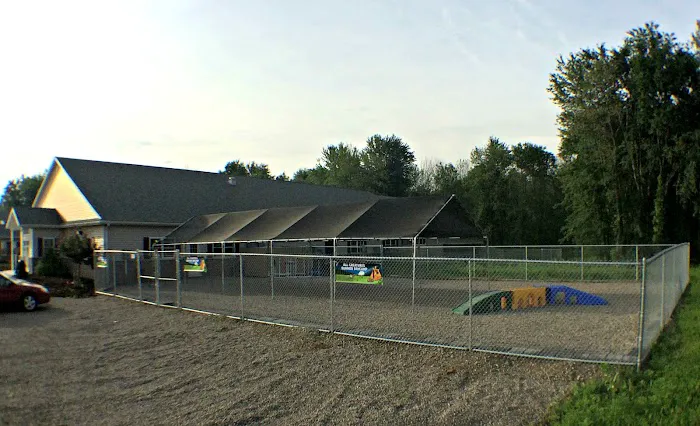 All Creatures Veterinary Clinic & Lodge Picture 3