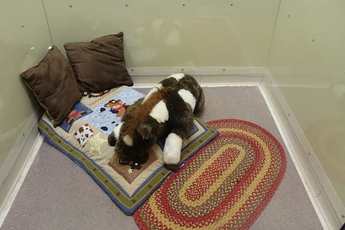 All Creatures Veterinary Clinic & Lodge Picture 1
