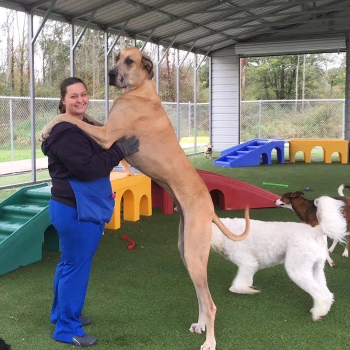 All Creatures Veterinary Clinic & Lodge Picture 7