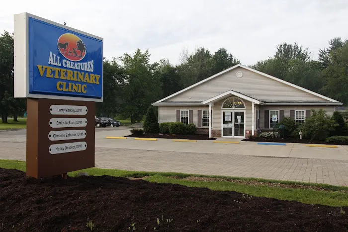 All Creatures Veterinary Clinic & Lodge Picture 2