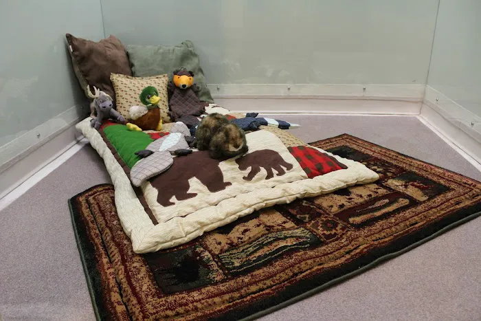 All Creatures Veterinary Clinic & Lodge Picture 6