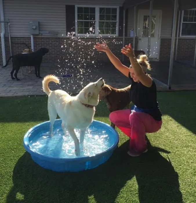 All Creatures Veterinary Clinic & Lodge Picture 10