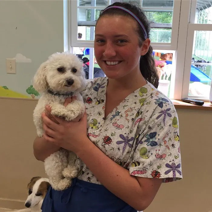 All Creatures Veterinary Clinic & Lodge Picture 8
