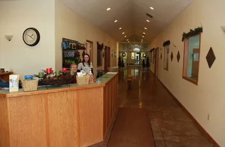 All Creatures Veterinary Clinic & Lodge Picture 2