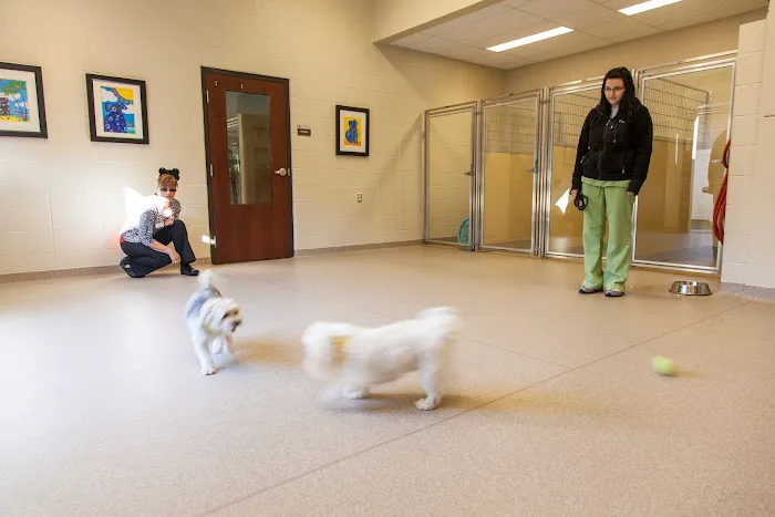 Cleveland Road Animal Hospital, Inc Picture 8