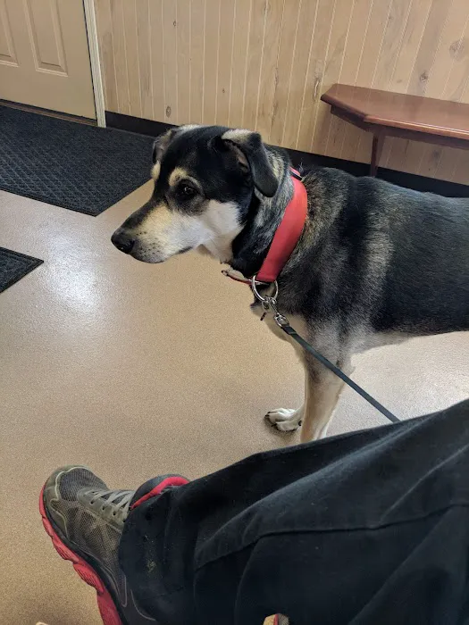 Mairs' Veterinary Hospital Picture 5