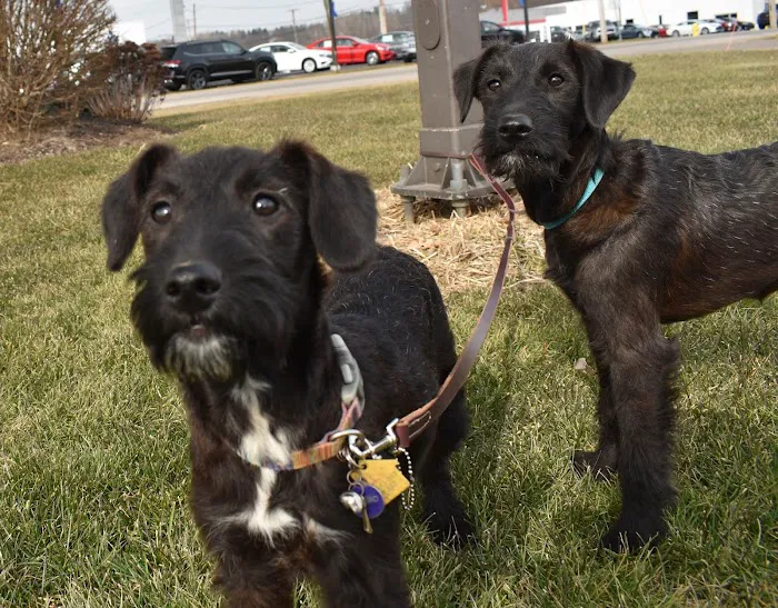 New Pittsburg Small Animal Clinic Picture 9