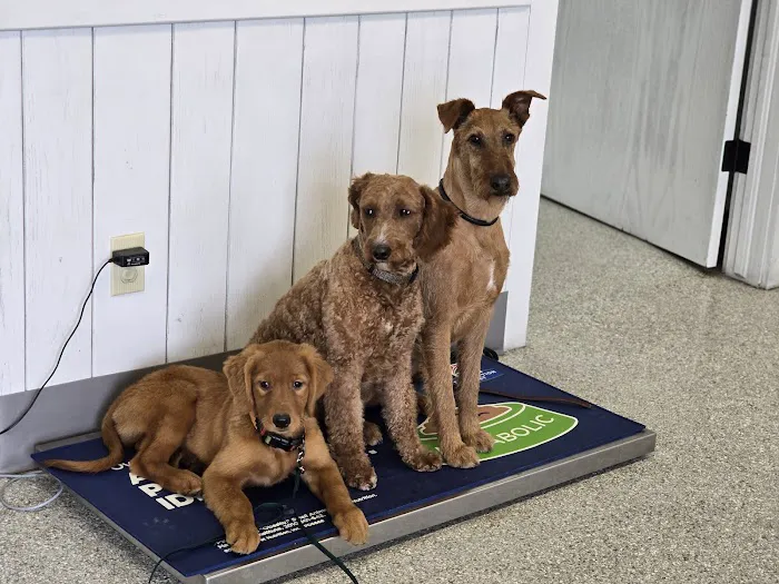 New Pittsburg Small Animal Clinic Picture 10