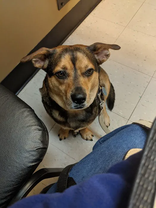 Valley Animal Hospital Picture 8