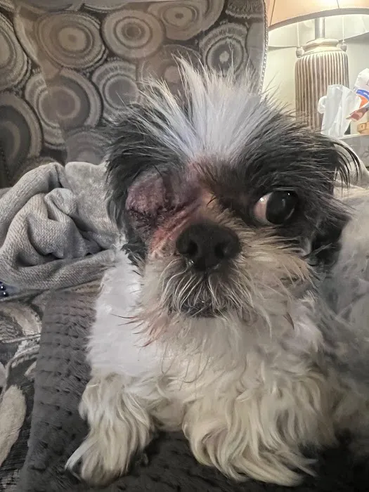 Valley Animal Hospital Picture 4