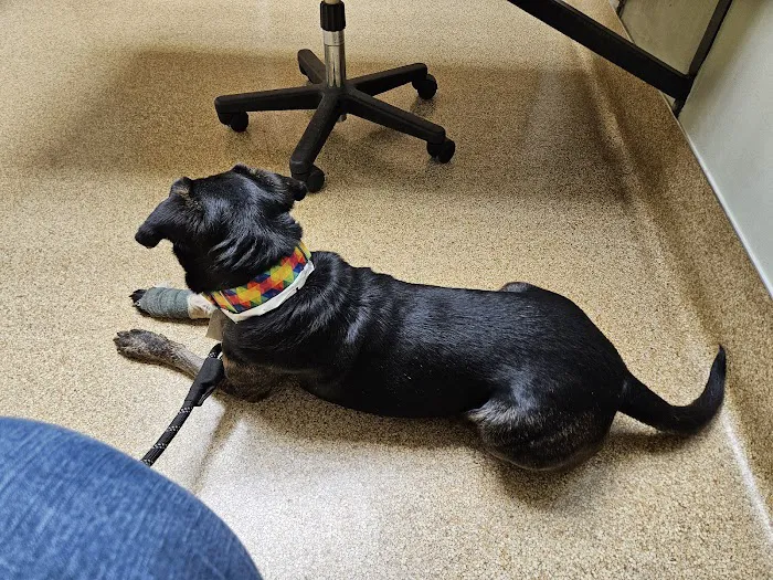 Akron-Peninsula Veterinary Office Picture 4