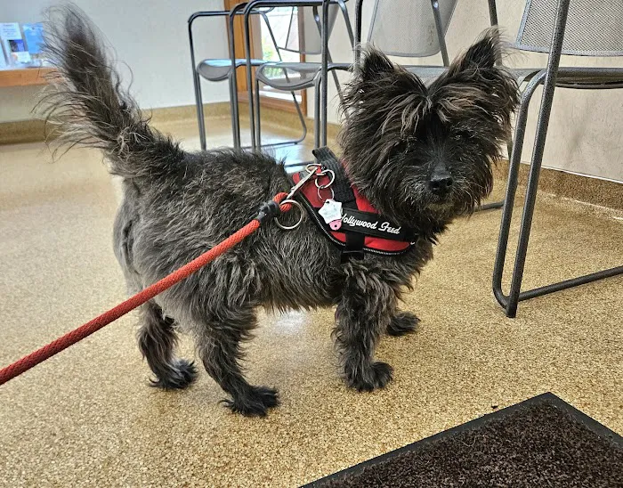 Akron-Peninsula Veterinary Office Picture 2