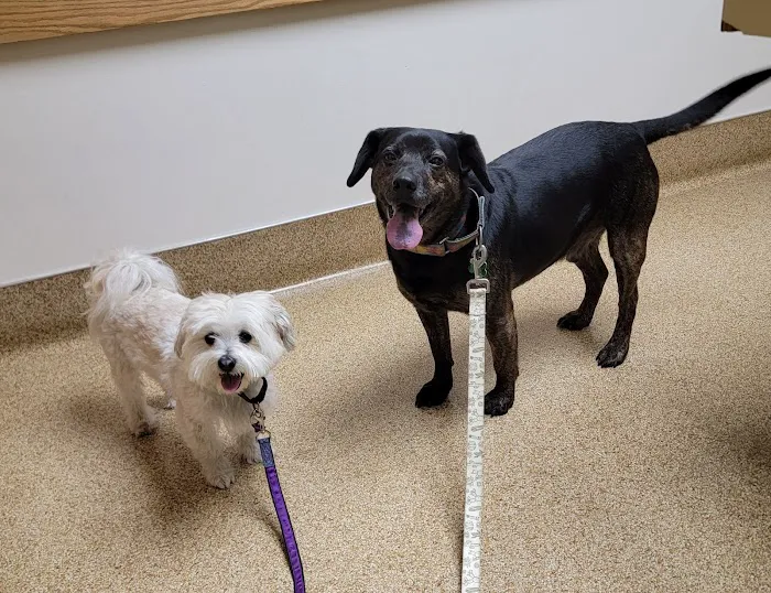 Akron-Peninsula Veterinary Office Picture 5