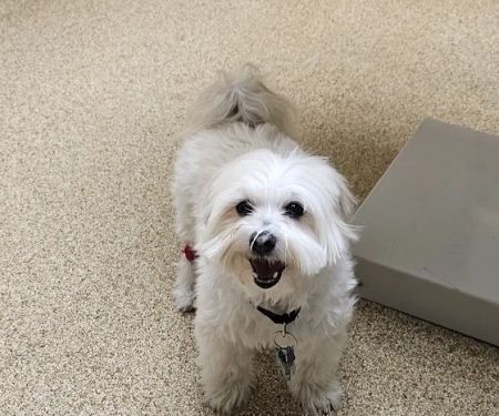 Akron-Peninsula Veterinary Office