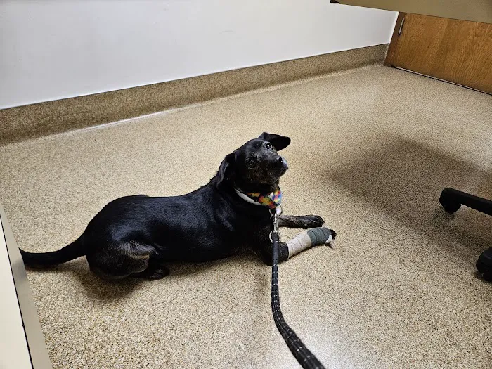Akron-Peninsula Veterinary Office Picture 6