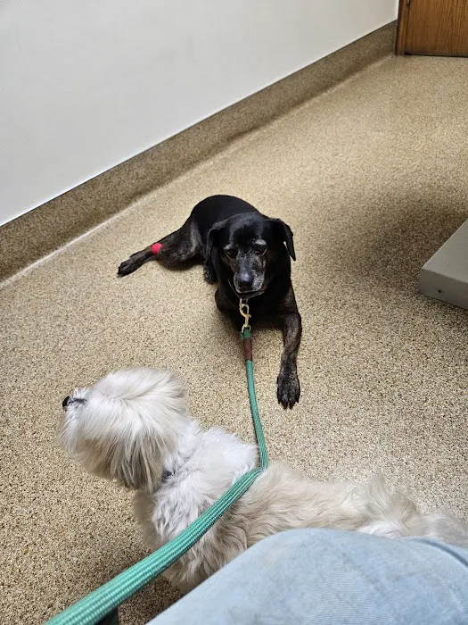 Akron-Peninsula Veterinary Office Picture 9