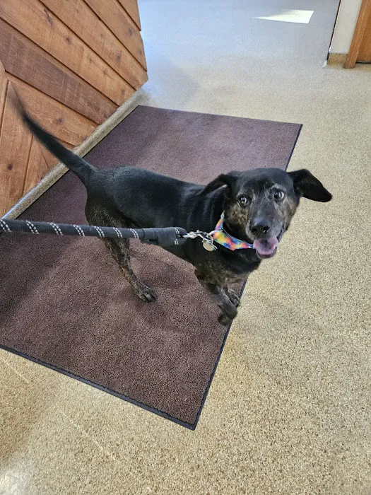 Akron-Peninsula Veterinary Office Picture 10
