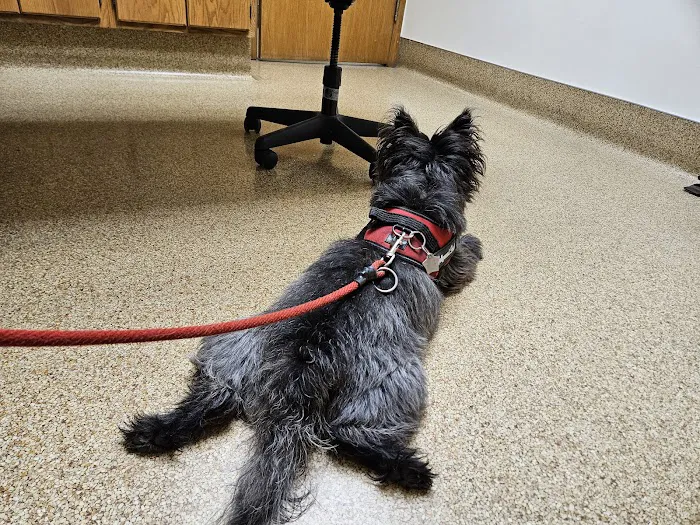 Akron-Peninsula Veterinary Office Picture 8
