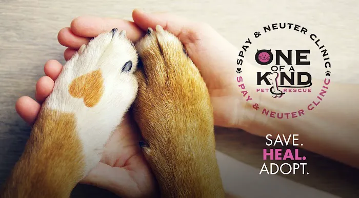 One of A Kind Pet Rescue Spay & Neuter Clinic Picture 2