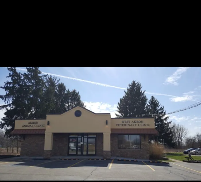 West Akron Veterinary Clinic Picture 3