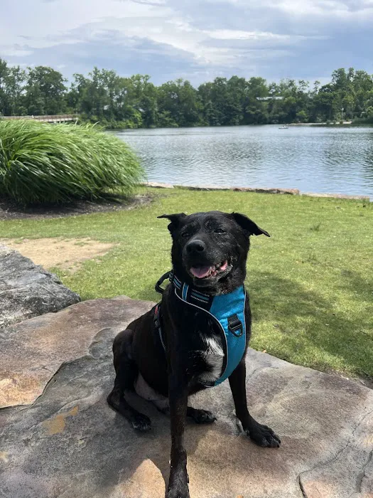 Eye Care for Animals - Akron Picture 8