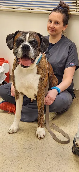 Eye Care for Animals - Akron Picture 10