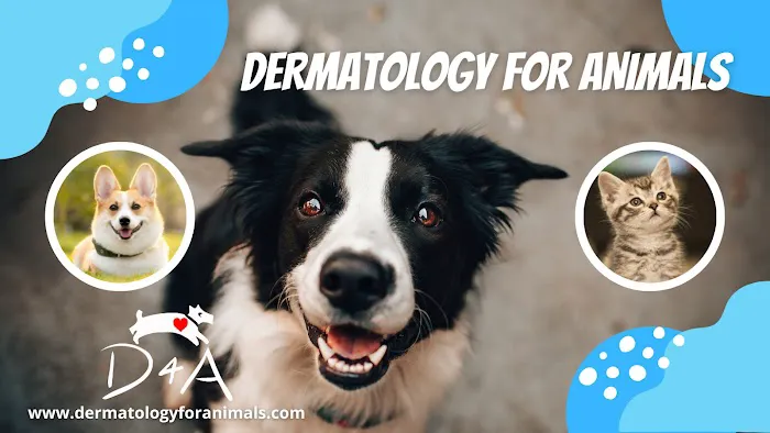 Dermatology for Animals - Akron Picture 6