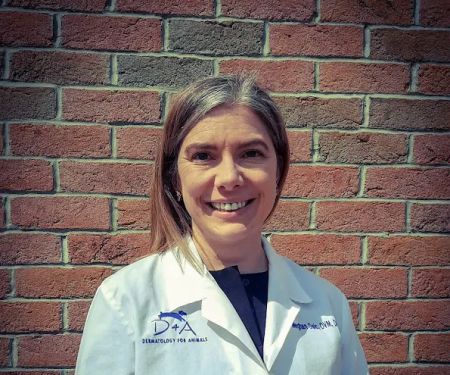 Dermatology for Animals - Akron