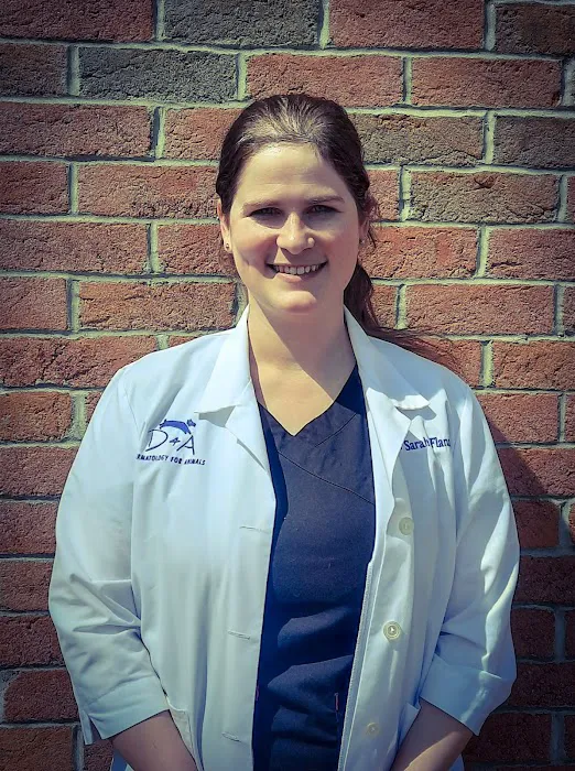 Dermatology for Animals - Akron Picture 10