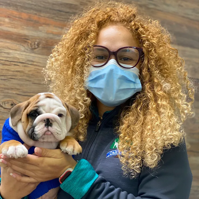 Oak Tree Veterinary Hospital Picture 9