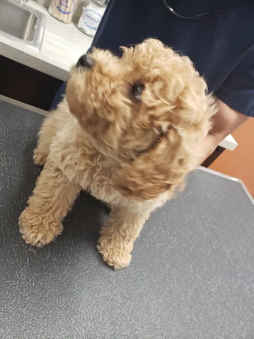 Shaker Square Animal Hospital Picture 6