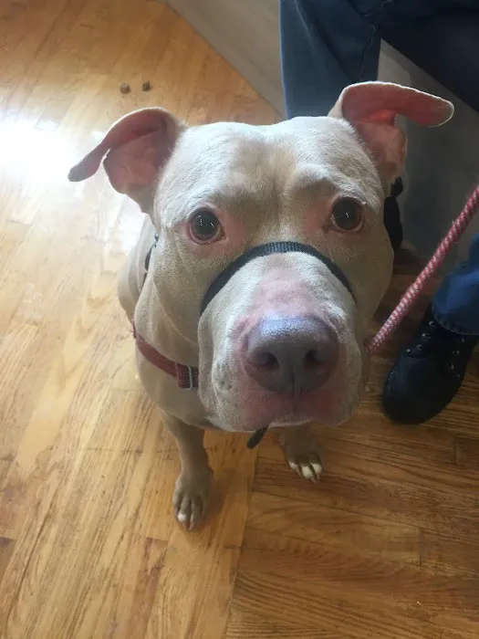 Shaker Square Animal Hospital Picture 3