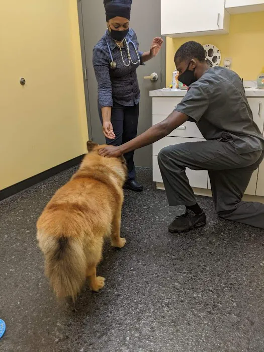 Cleveland Veterinary Clinic Picture 10