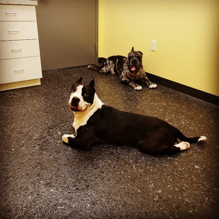 Cleveland Veterinary Clinic Picture 1
