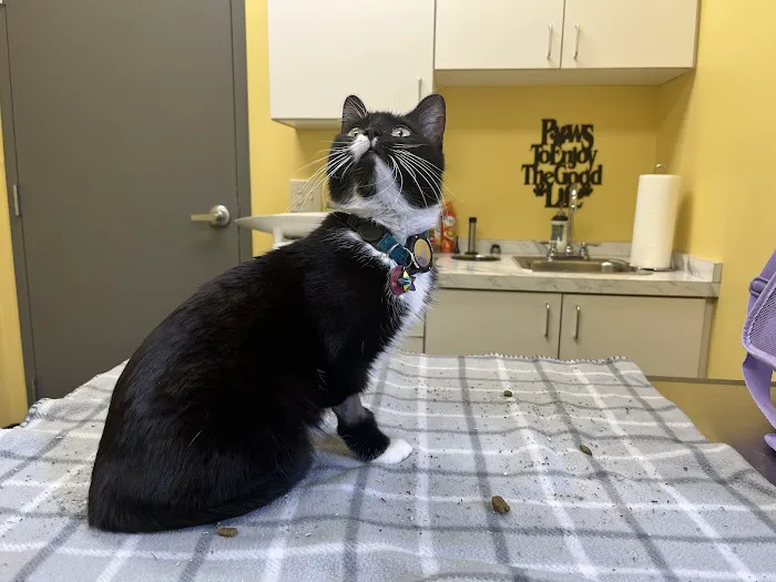 Cleveland Veterinary Clinic Picture 8