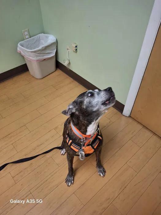 Cleveland Veterinary Clinic Picture 9