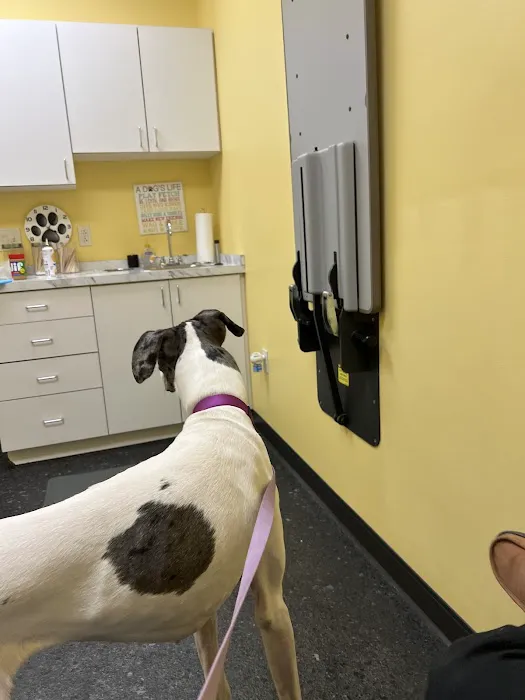 Cleveland Veterinary Clinic Picture 4