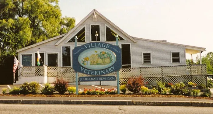 Village Veterinary Picture 1