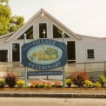 Village Veterinary