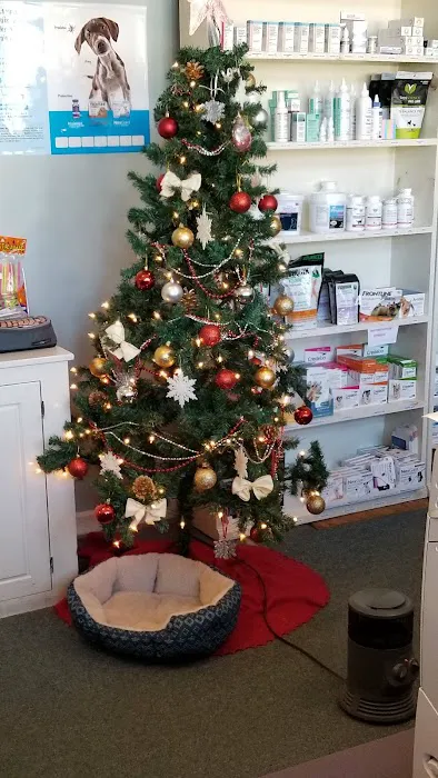 Village Veterinary Picture 5