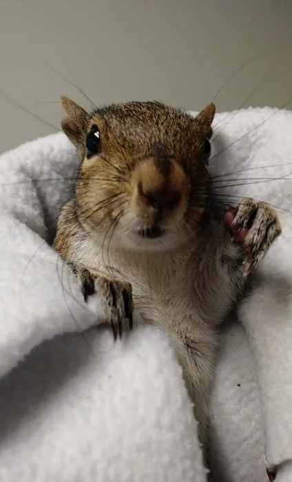 Rowley Animal Hospital Picture 9