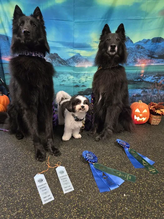 Rowley Animal Hospital Picture 10