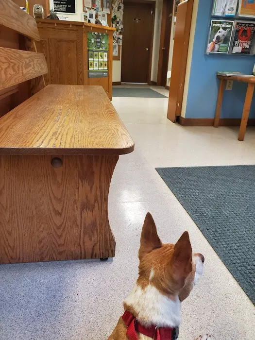 SRH Veterinary Services Picture 7