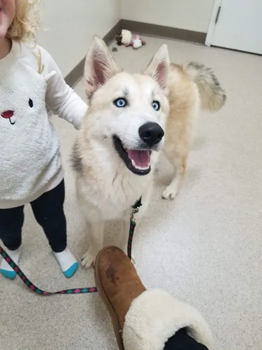 Animal Care Picture 9