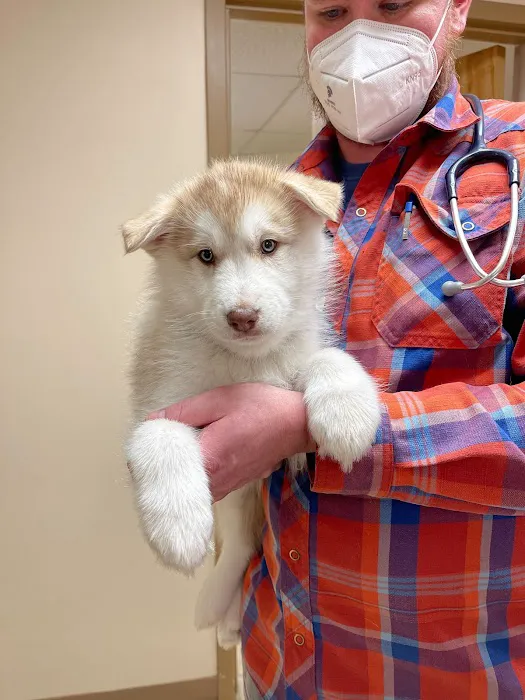 Androscoggin Animal Hospital Picture 9