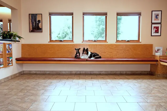 Androscoggin Animal Hospital Picture 8
