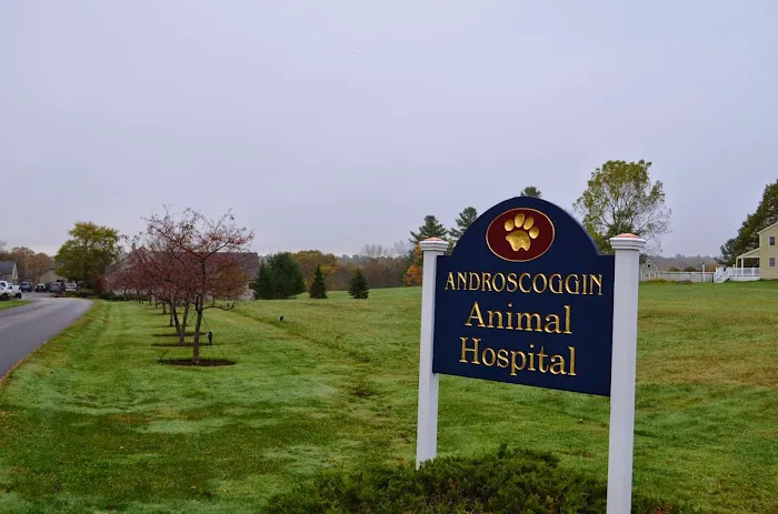 Androscoggin Animal Hospital Picture 1