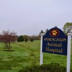 Androscoggin Animal Hospital
