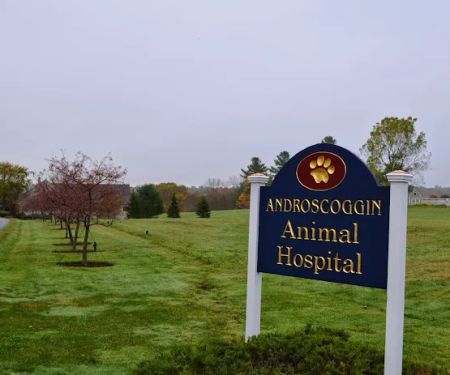 Androscoggin Animal Hospital